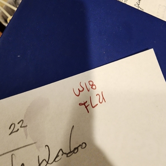 Tommy hilfiger Men's Classic Fit Cotton Bermuda Short size 38 - Picture 8 of 14